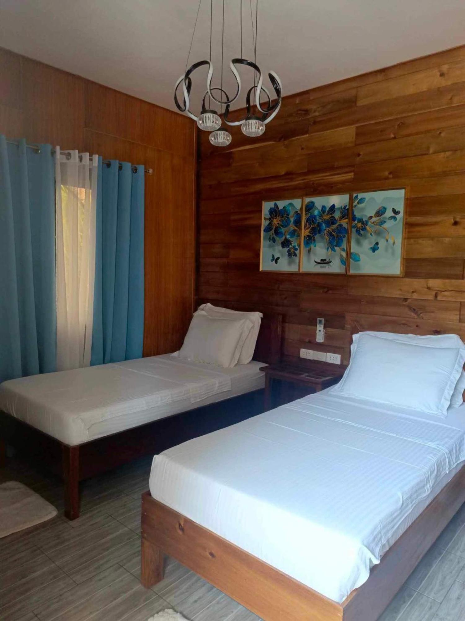 Theresa'S Pension House San Vicente  Εξωτερικό φωτογραφία