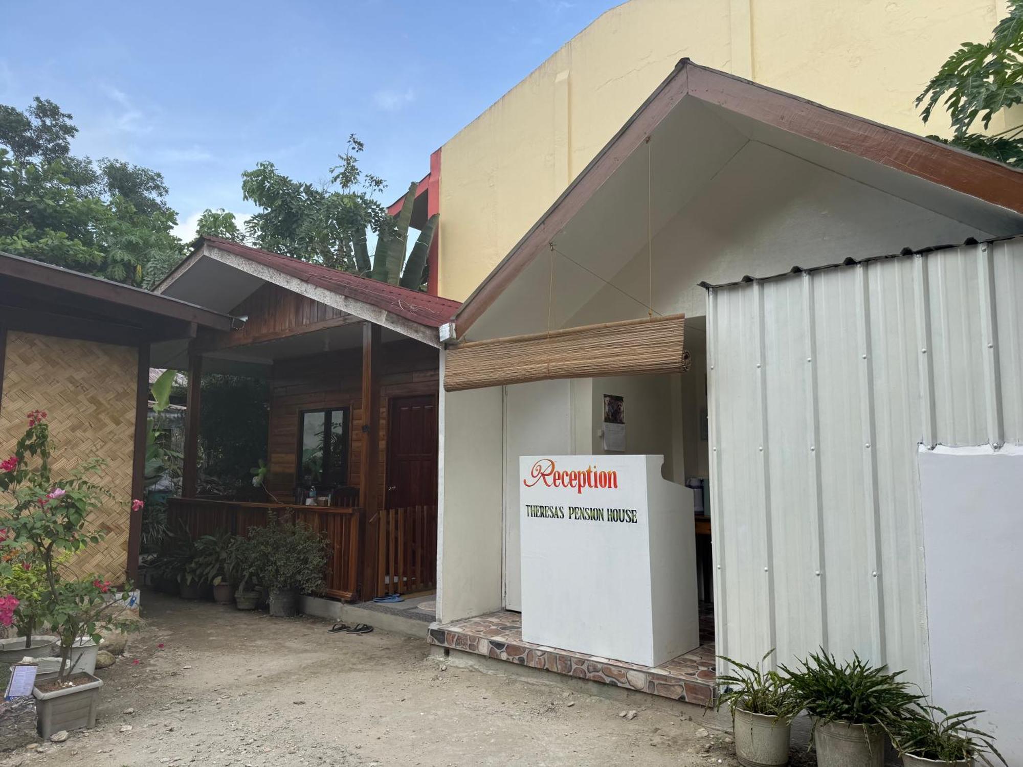 Theresa'S Pension House San Vicente  Εξωτερικό φωτογραφία